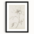 Vintage Botanical Art Prints - Antique Floral Illustration