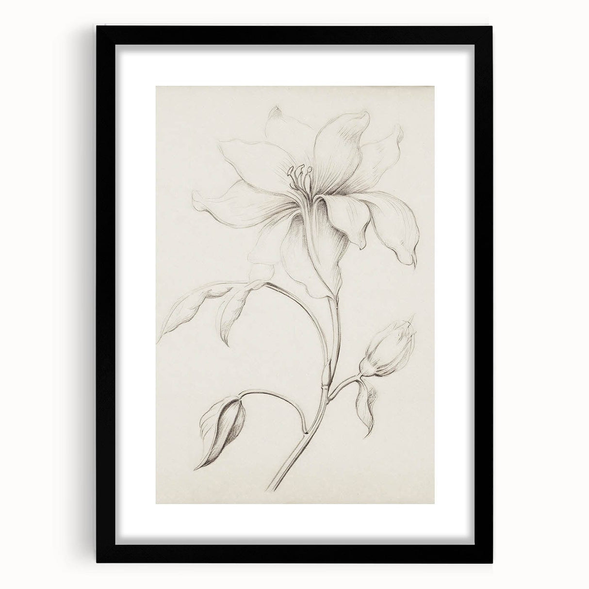 Vintage Botanical Art Prints - Antique Floral Illustration