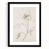 Vintage Botanical Art Prints - Antique Floral Illustration