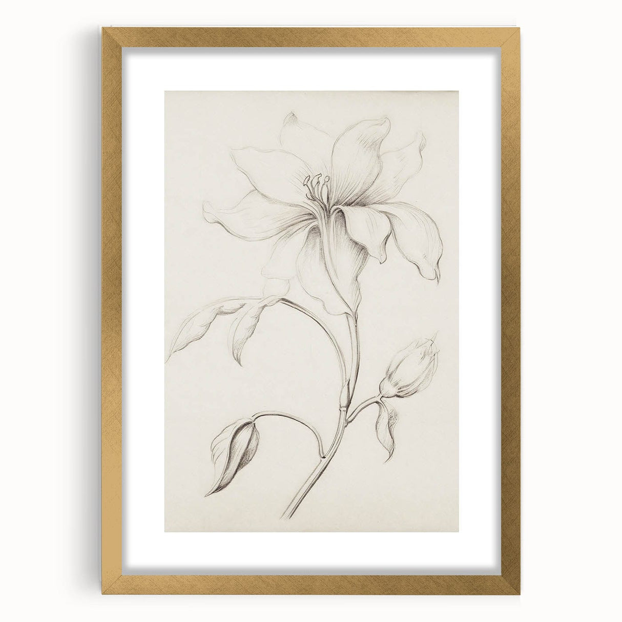 Vintage Botanical Art Prints - Antique Floral Illustration