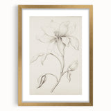 Vintage Botanical Art Prints - Antique Floral Illustration