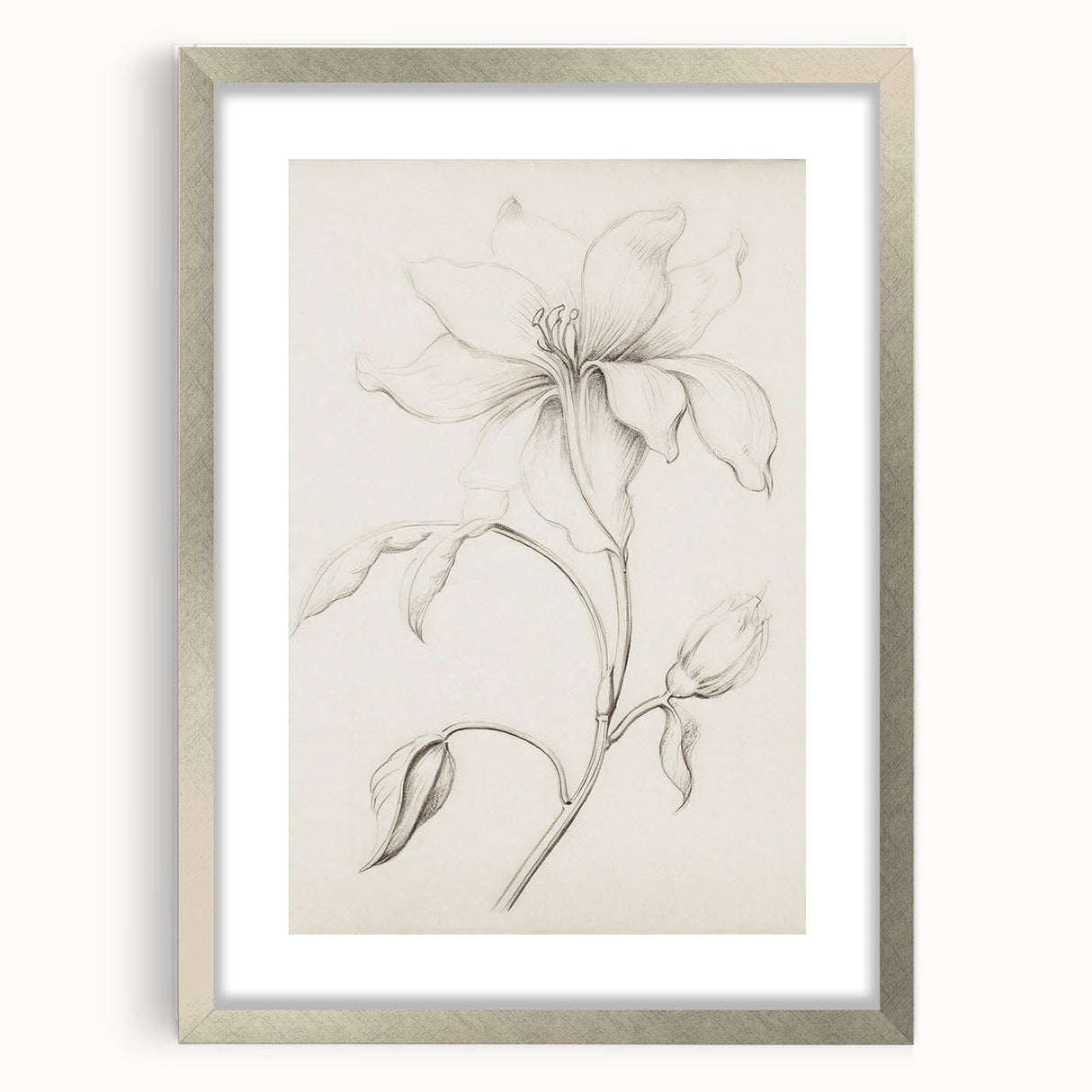 Vintage Botanical Art Prints - Antique Floral Illustration