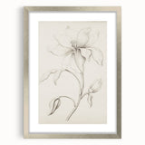 Vintage Botanical Art Prints - Antique Floral Illustration