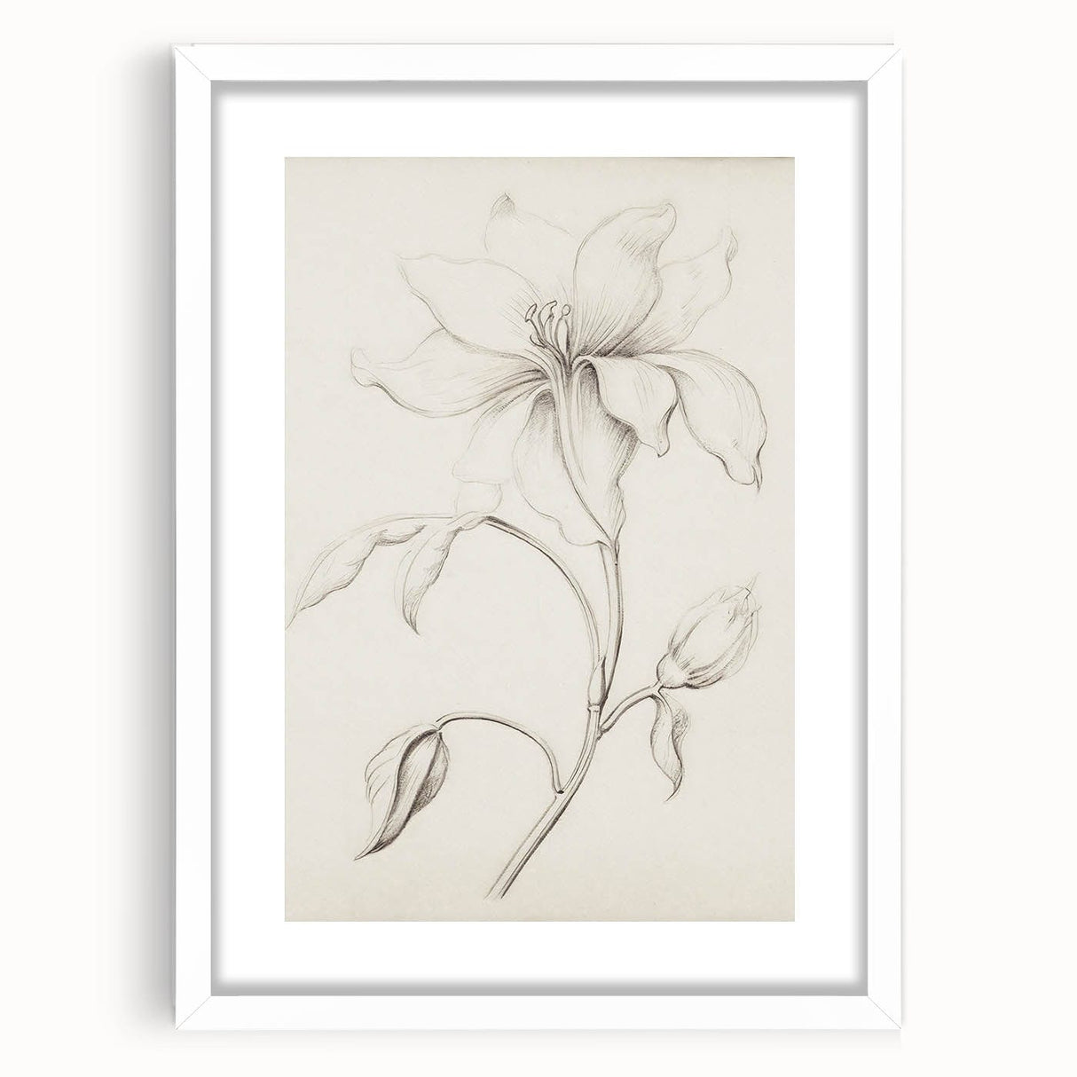 Vintage Botanical Art Prints - Antique Floral Illustration