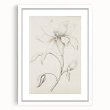 Vintage Botanical Art Prints - Antique Floral Illustration