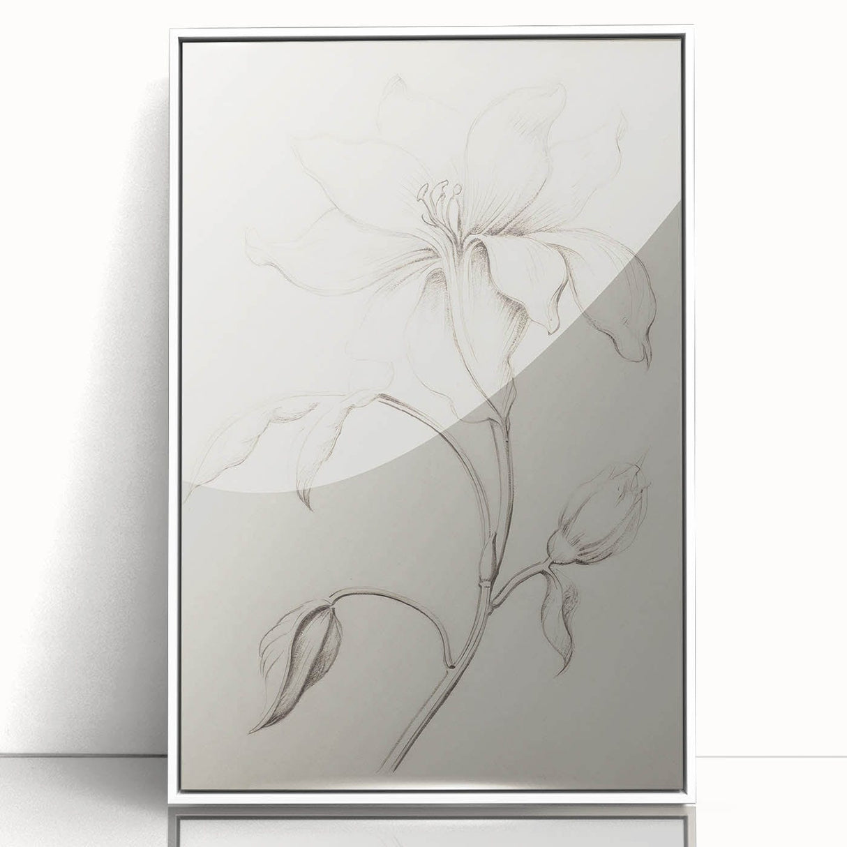Vintage Botanical Art Prints - Antique Floral Illustration