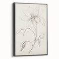 Vintage Botanical Art Prints - Antique Floral Illustration