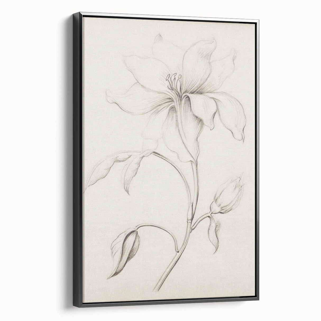 Vintage Botanical Art Prints - Antique Floral Illustration