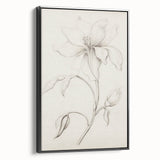 Vintage Botanical Art Prints - Antique Floral Illustration