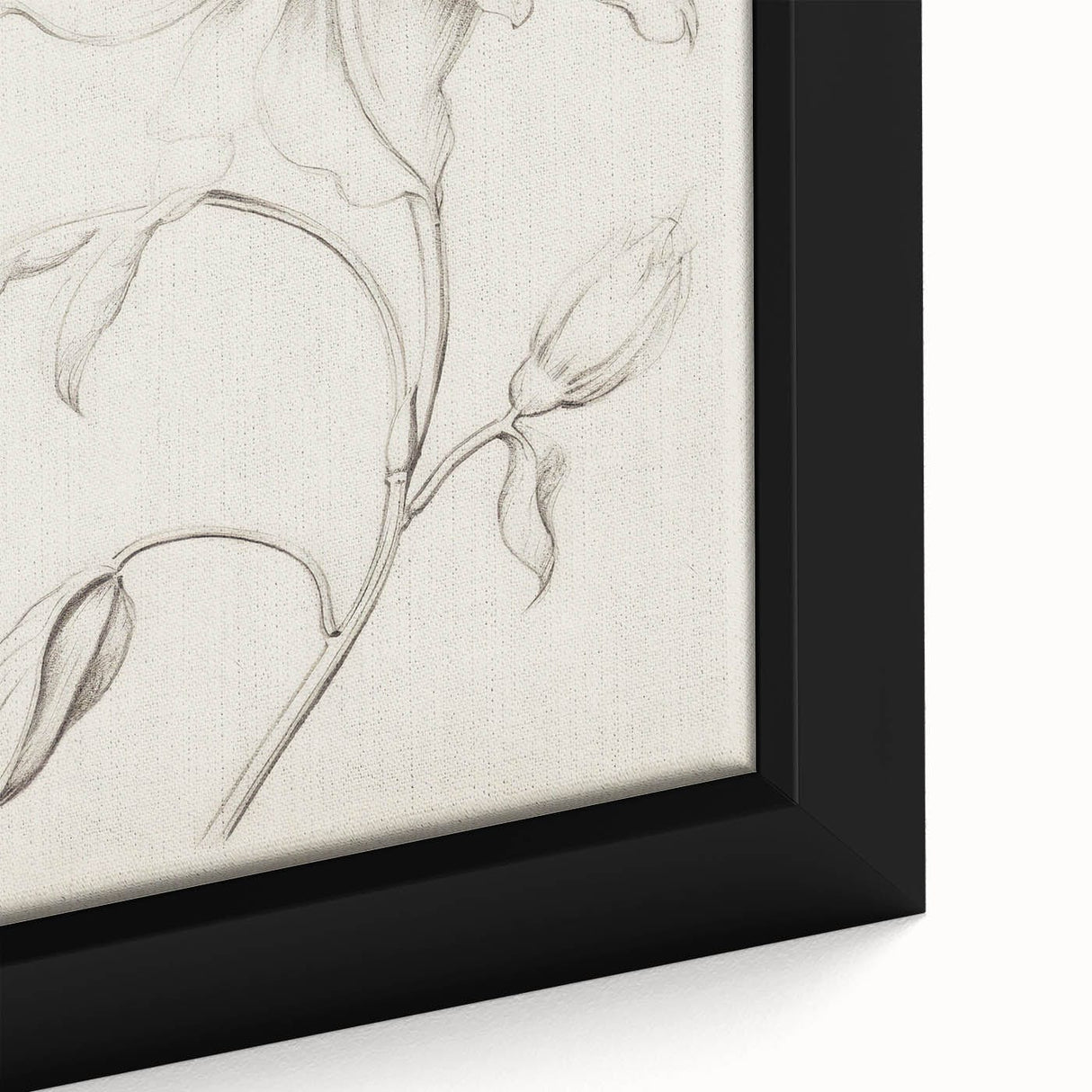 Vintage Botanical Art Prints - Antique Floral Illustration