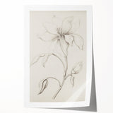 Vintage Botanical Art Prints - Antique Floral Illustration