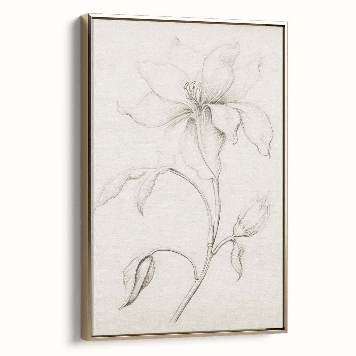 Vintage Botanical Art Prints - Antique Floral Illustration
