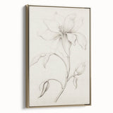 Vintage Botanical Art Prints - Antique Floral Illustration