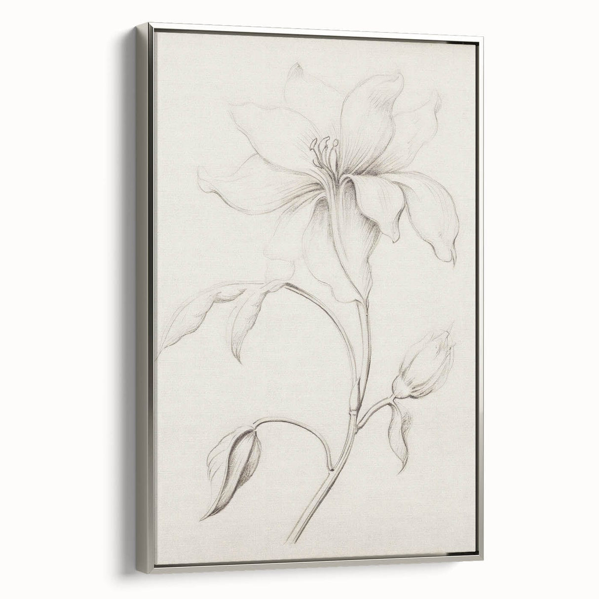 Vintage Botanical Art Prints - Antique Floral Illustration