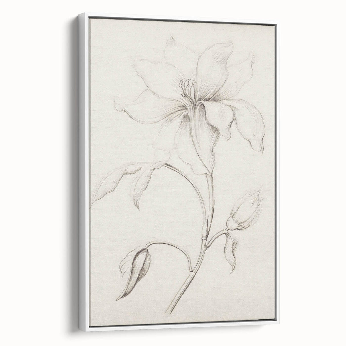 Vintage Botanical Art Prints - Antique Floral Illustration