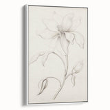 Vintage Botanical Art Prints - Antique Floral Illustration