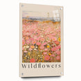 Vintage Botanical Art Prints: Soft Wildflower Field