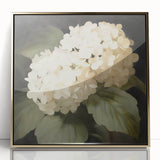 Vintage Botanical Art Print: White Hydrangea Flower Illustration