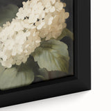 Vintage Botanical Art Print: White Hydrangea Flower Illustration