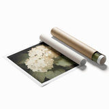 Vintage Botanical Art Print: White Hydrangea Flower Illustration