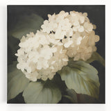 Vintage Botanical Art Print: White Hydrangea Flower Illustration