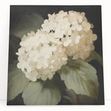 Vintage Botanical Art Print: White Hydrangea Flower Illustration