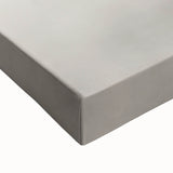 Vintage Botanical Art Prints – Elegant Branch Pencil Drawing