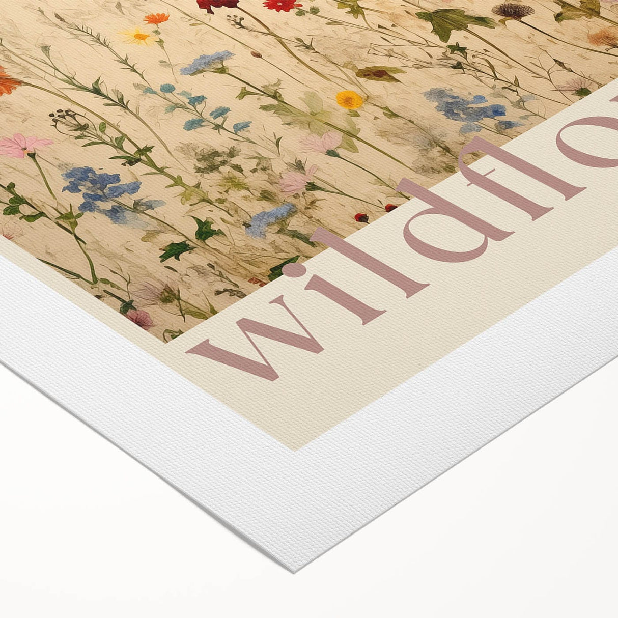 Vintage Botanical Art Prints: Soft Wildflower Dance