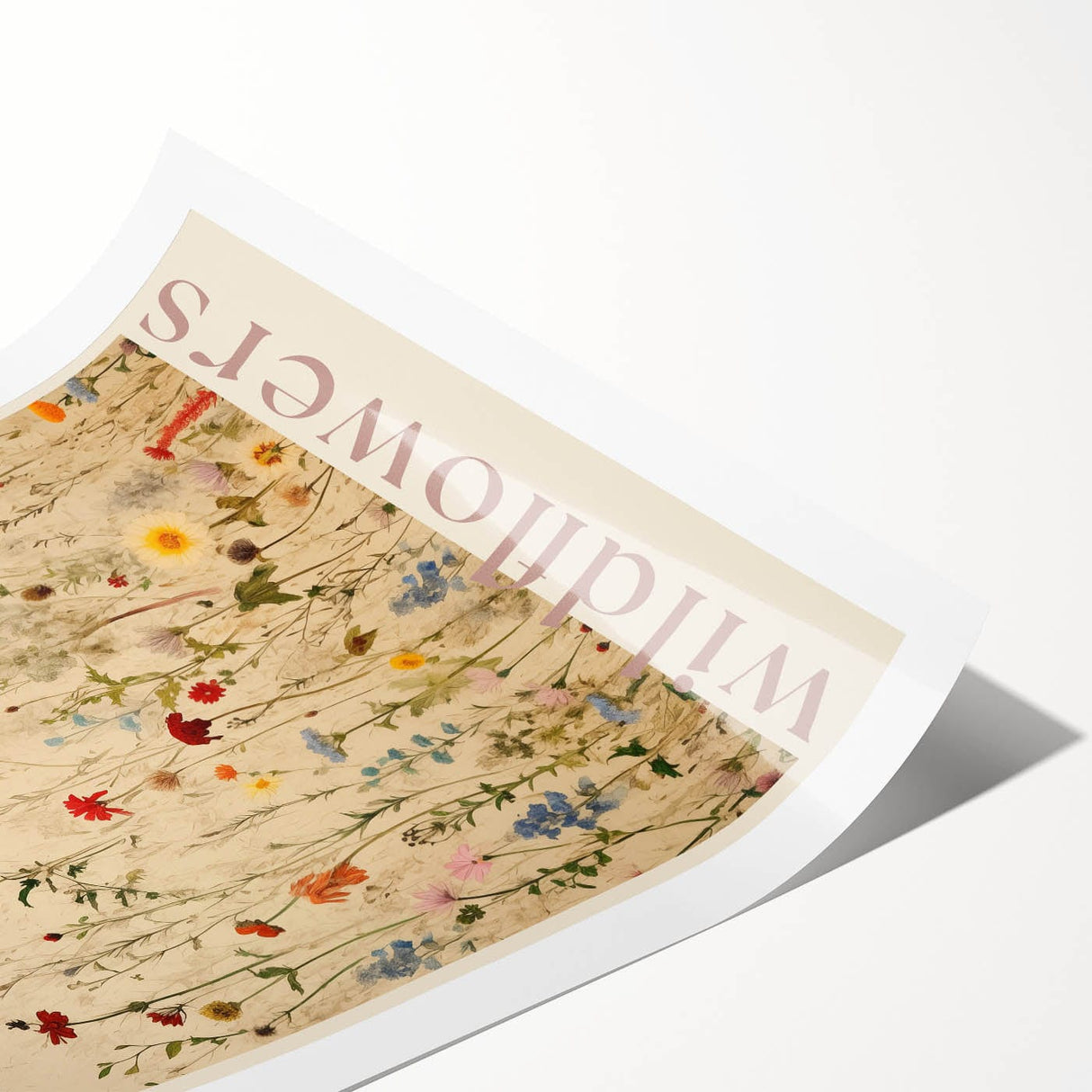 Vintage Botanical Art Prints: Soft Wildflower Dance