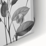 Vintage Botanical Art Prints: Monochrome Leaves