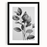 Vintage Botanical Art Prints: Monochrome Leaves
