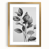 Vintage Botanical Art Prints: Monochrome Leaves