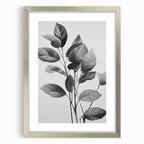Vintage Botanical Art Prints: Monochrome Leaves