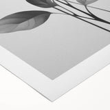 Vintage Botanical Art Prints: Monochrome Leaves