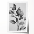Vintage Botanical Art Prints: Monochrome Leaves