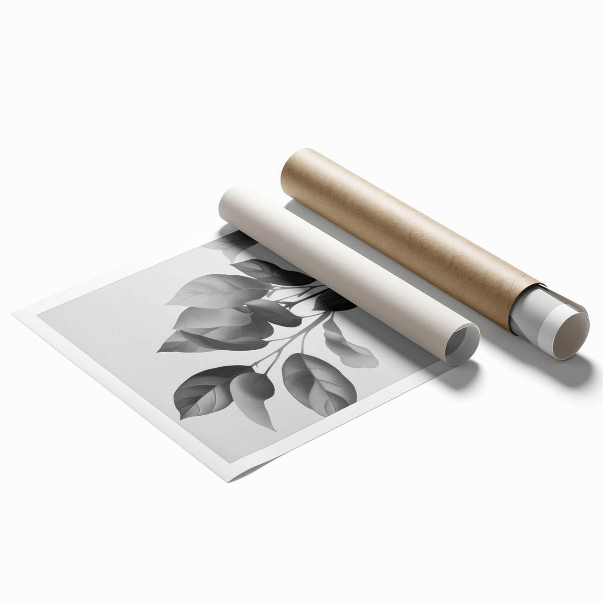 Vintage Botanical Art Prints: Monochrome Leaves