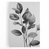 Vintage Botanical Art Prints: Monochrome Leaves