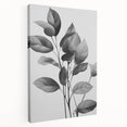 Vintage Botanical Art Prints: Monochrome Leaves