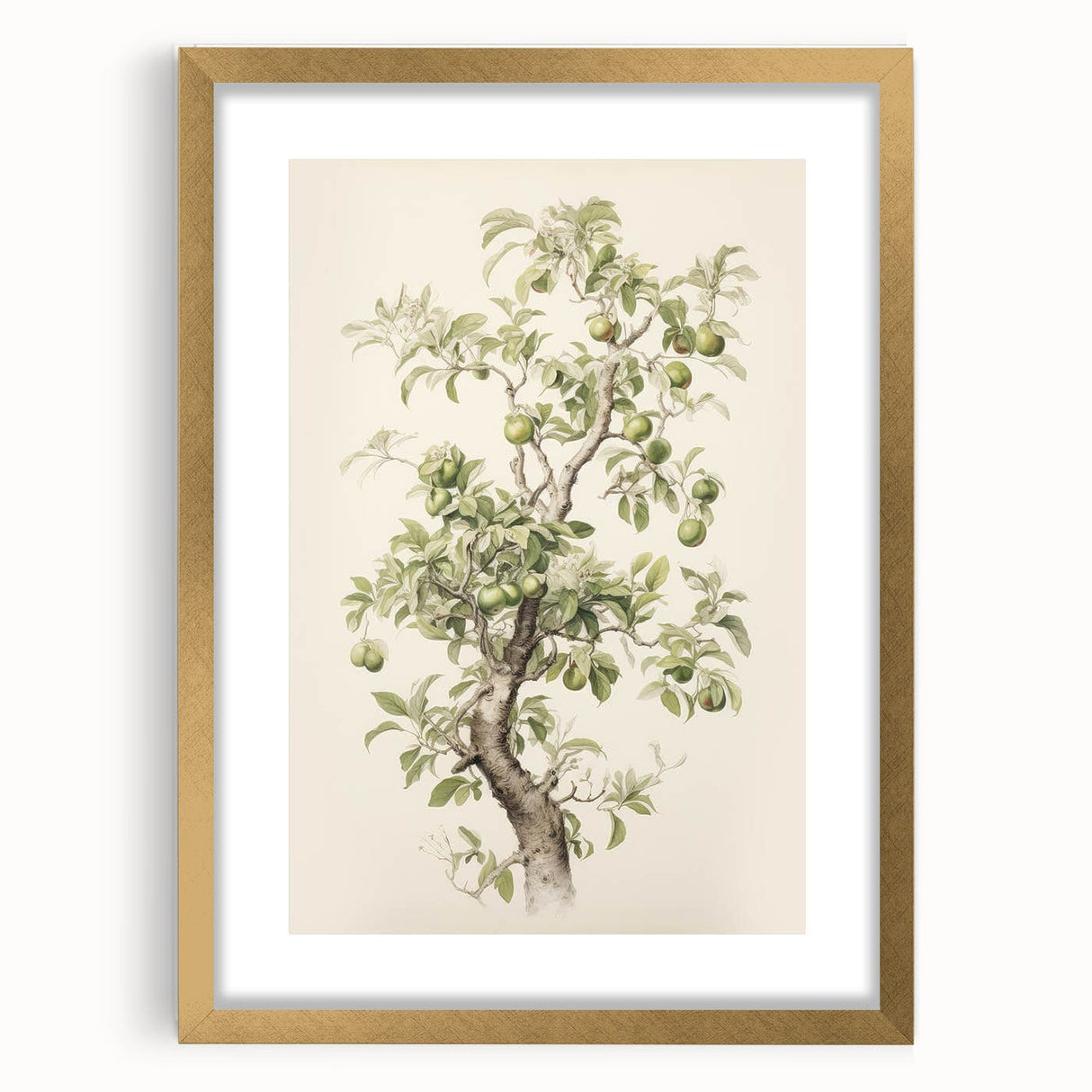 Vintage Botanical Art Prints: Pear Tree in Bloom