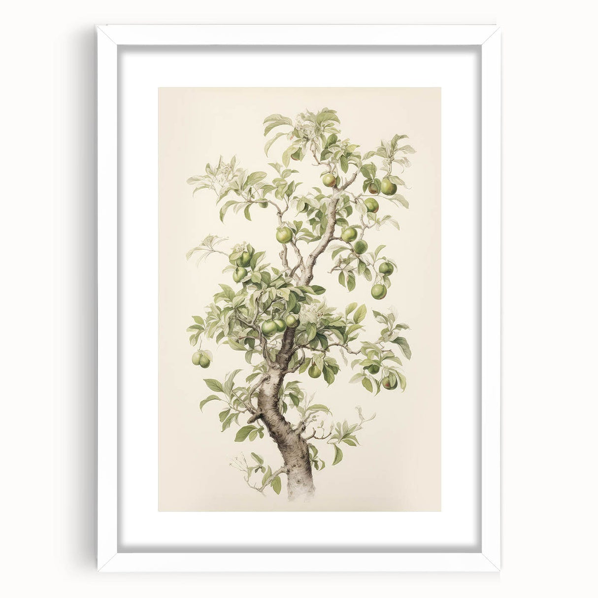 Vintage Botanical Art Prints: Pear Tree in Bloom