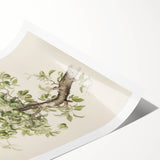 Vintage Botanical Art Prints: Pear Tree in Bloom