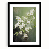 Vintage Botanical Art Prints: White Blossoms in Spring