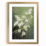 Vintage Botanical Art Prints: White Blossoms in Spring