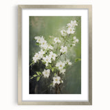 Vintage Botanical Art Prints: White Blossoms in Spring