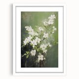 Vintage Botanical Art Prints: White Blossoms in Spring