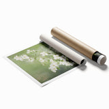 Vintage Botanical Art Prints: White Blossoms in Spring
