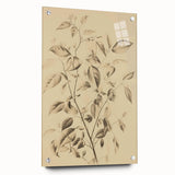 Vintage Botanical Art Prints: Soft Leaves in Beige