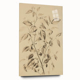 Vintage Botanical Art Prints: Soft Leaves in Beige