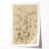 Vintage Botanical Art Prints: Soft Leaves in Beige