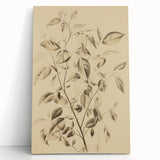 Vintage Botanical Art Prints: Soft Leaves in Beige